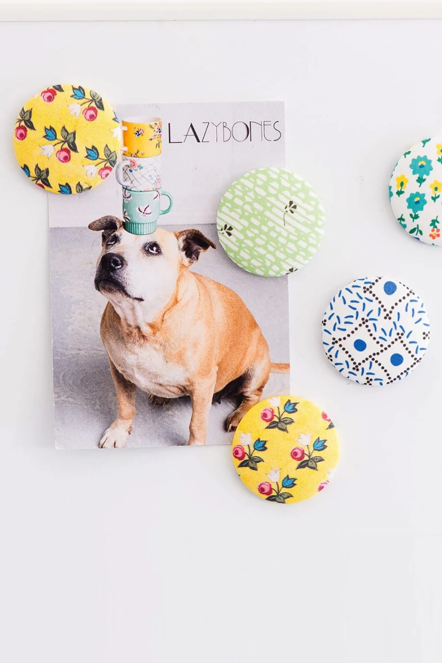 "Lazybones Women's Mellow Magnet – Stylish and Comfortable Fashion Accessory"