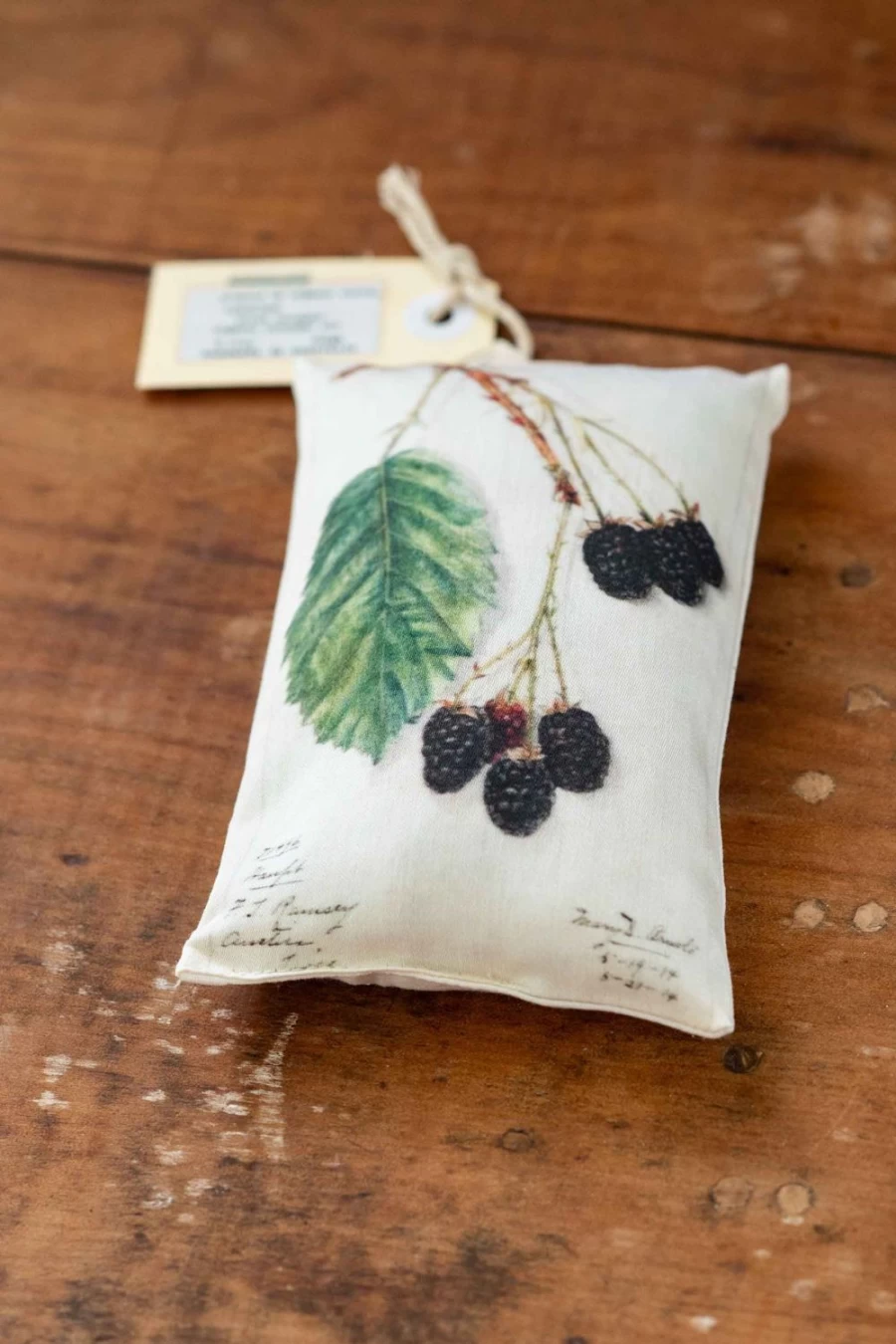 Lazybones Women's Fragrant Rubus Scented Sachet for Freshness and Aroma
