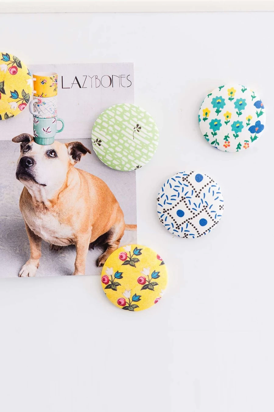 Lazybones Women's Mindy Magnet Fashion Accessory for Stylish Outfits