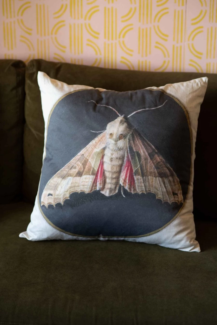 "Lazybones Women's Organic Cotton Moth Cushion Cover"