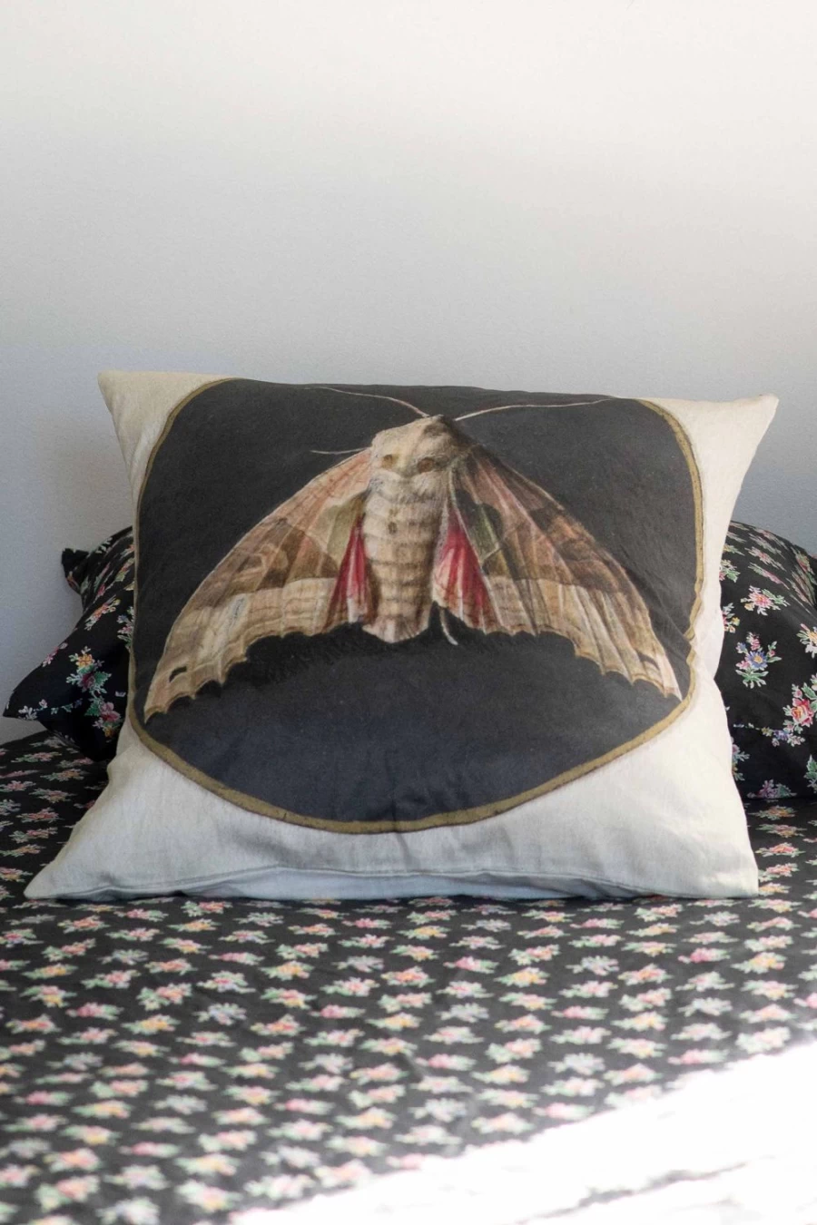 "Lazybones Women's Organic Cotton Moth Cushion Cover"